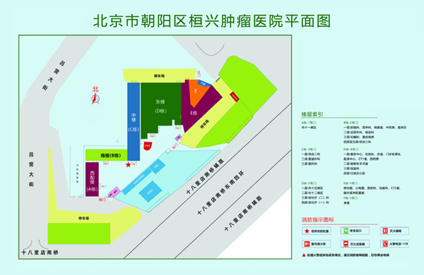 鸡鸡日嫂逼北京市朝阳区桓兴肿瘤医院平面图